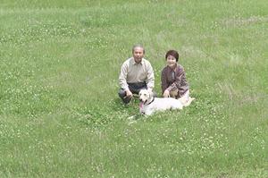 福島でオリジナリティ溢れるデザインの結婚指輪を見つける方法