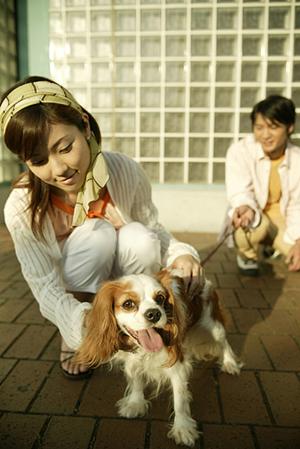定額制で安心な料金設定がうれしい婚活